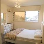شقه مفروشه بالزمالك